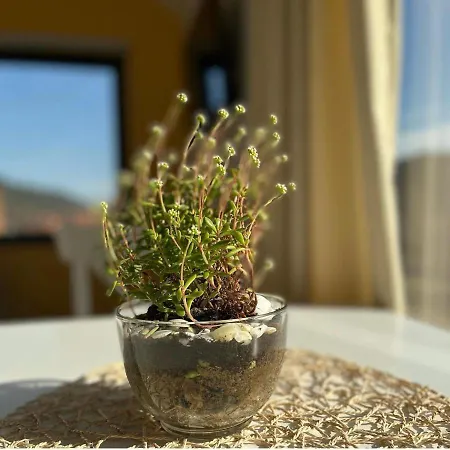 Apartament Studen Jaz Kraljevo