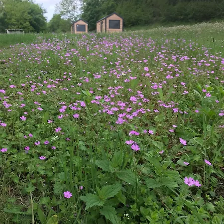 Studen Jaz Apartament Kraljevo