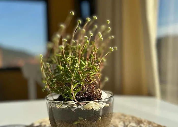 公寓 Studen Jaz 克拉列沃